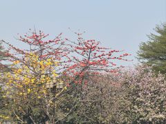 -广州都市观光巴士(粤陶巴)