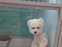 -FAELING PETS美天灵宠物(合生汇店)