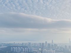 -BeauTea水仙(coco park店)