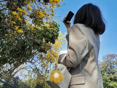 -东莞植物园