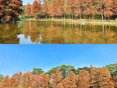 -天河公园(天园街道)