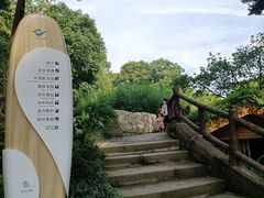 -成都市活水公园
