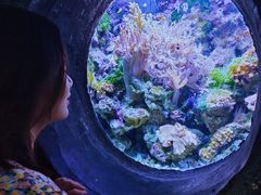 -南昌海洋公园