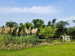 -仙海旅游度假区