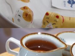 -猫里有甜