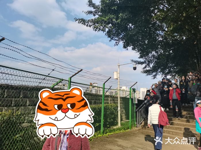 佛图关公园图片