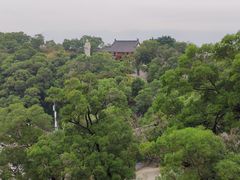 -金鸡山公园