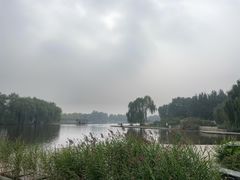 -石家庄市植物园