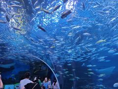 -海合安成都极地海洋公园