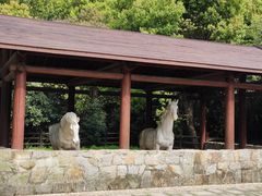 -白马涧龙池景区