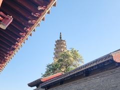 -白塔山公园