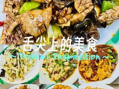 -林之六八·6886大连老菜馆