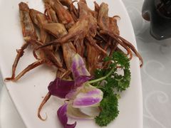 -阿英煲(凉城路店)