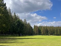 -黄海国家森林公园