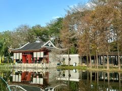 -顺峰山公园