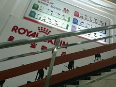 -创凡宠物医院·骨专科  猫科中心(西乡分院)