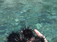 -惠州金海湾嘉华度假酒店