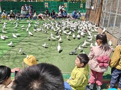 -长白岛森林公园