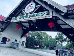 -上海海湾国家森林公园