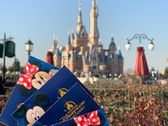 -上海迪士尼度假区