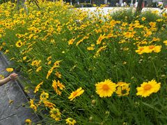 -白塘生态植物园