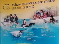 -新加坡水上探险乐园