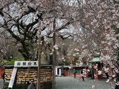 -富士山本宫浅间大社