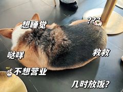 -简象咖啡CAFE ELE JANE(满陇桂雨店)