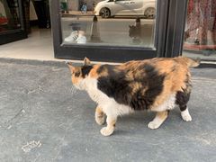 -十一咖啡(青年大街工厂店)