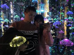 -迷斯伍德星空博物馆