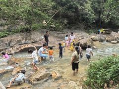 -广州白江湖森林公园