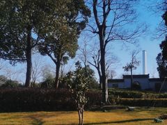 -上海山野camping·户外天幕烧烤·团建拓展营地