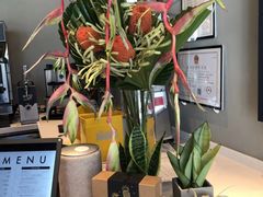 -dotcom coffee古点咖啡(致真大厦店)