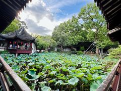 -上海醉白池公园