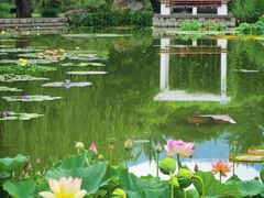 -国家植物园南园