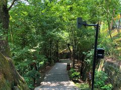 -丰都鬼城名山景区