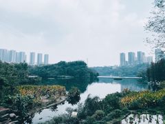 -重庆彩云湖湿地公园