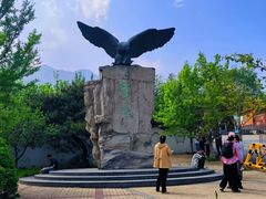 -北京鹫峰国家森林公园