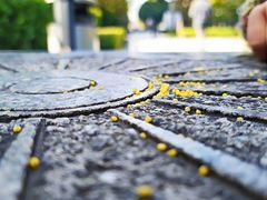 -木塔寺遗址生态公园