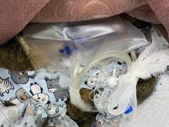 -达爱动物医院·犬猫分区·CT·复杂眼科(远洋山水分院)