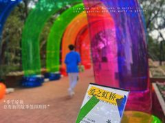 -金鸡湖桃花岛