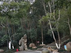 -赭山公园