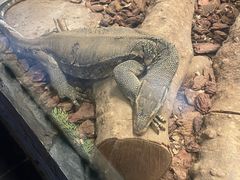 -云南野生动物园