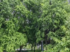 -长广溪湿地公园