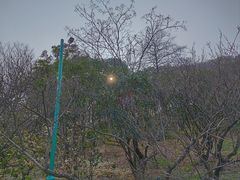 -无锡梅园公园