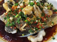 红烧有机鱼尾-全乐鱼馆·淳牌有机鱼直营店