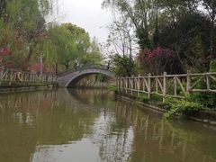 -南汇桃花村