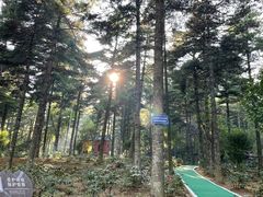 -洛阳白云山景区