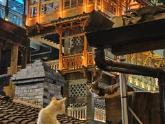 -重庆十八梯传统风貌区