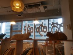 大堂-Cappucimeow猫咪咖啡馆(韦伯时代店)